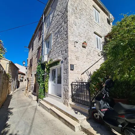 Adorable Palika * Vis